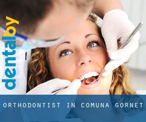 Orthodontist in Comuna Gornet