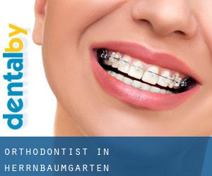 Orthodontist in Herrnbaumgarten