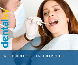 Orthodontist in Hotarele