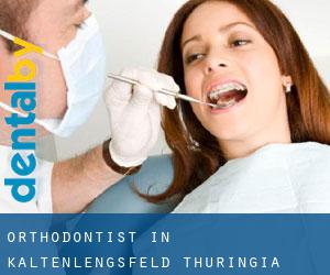 Orthodontist in Kaltenlengsfeld (Thuringia)