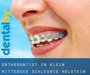 Orthodontist in Klein Wittensee (Schleswig-Holstein)