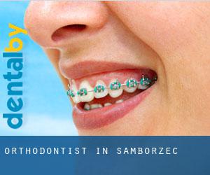 Orthodontist in Samborzec