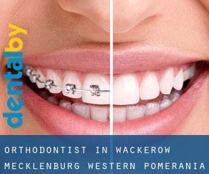 Orthodontist in Wackerow (Mecklenburg-Western Pomerania)