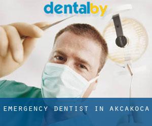 Emergency Dentist in Akçakoca