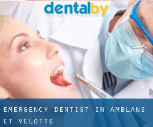 Emergency Dentist in Amblans-et-Velotte