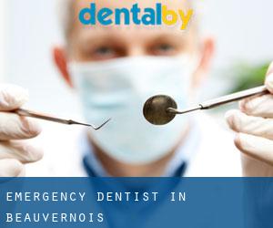 Emergency Dentist in Beauvernois