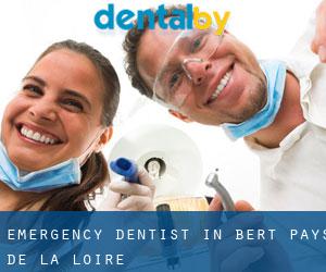 Emergency Dentist in Bert (Pays de la Loire)