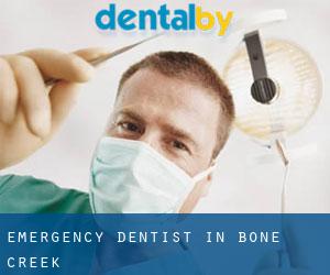 Emergency Dentist in Bone Creek