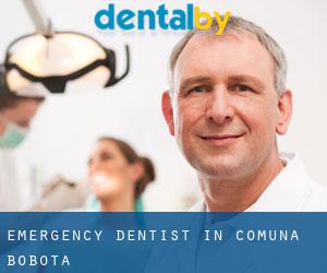 Emergency Dentist in Comuna Bobota