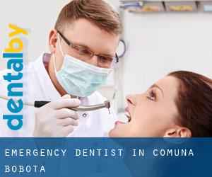 Emergency Dentist in Comuna Bobota