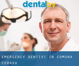 Emergency Dentist in Comuna Ceraşu