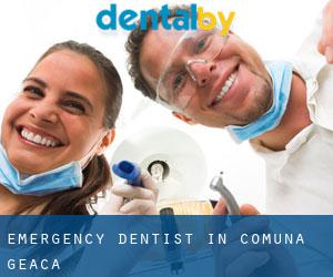 Emergency Dentist in Comuna Geaca