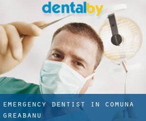Emergency Dentist in Comuna Greabănu