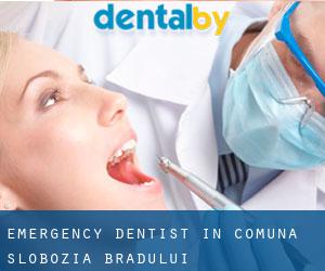 Emergency Dentist in Comuna Slobozia Bradului