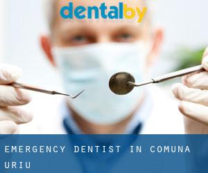 Emergency Dentist in Comuna Uriu