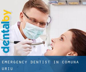 Emergency Dentist in Comuna Uriu