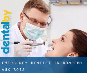 Emergency Dentist in Domrémy-aux-Bois