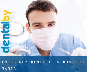 Emergency Dentist in Domus de Maria