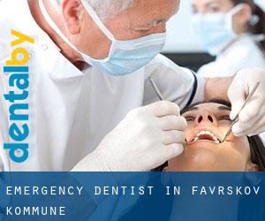 Emergency Dentist in Favrskov Kommune