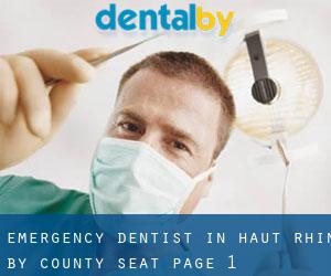 Emergency Dentist in Haut-Rhin by county seat - page 1