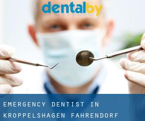 Emergency Dentist in Kröppelshagen-Fahrendorf (Schleswig-Holstein)