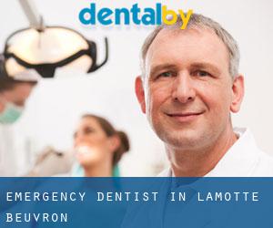 Emergency Dentist in Lamotte-Beuvron