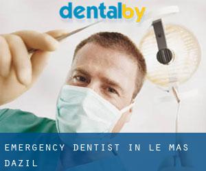 Emergency Dentist in Le Mas-d'Azil