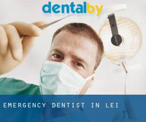 Emergency Dentist in Lei