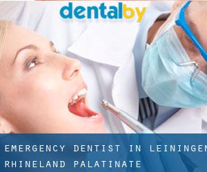 Emergency Dentist in Leiningen (Rhineland-Palatinate)