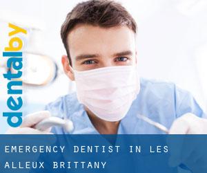 Emergency Dentist in Les Alleux (Brittany)