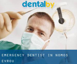 Emergency Dentist in Nomós Évrou
