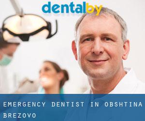 Emergency Dentist in Obshtina Brezovo