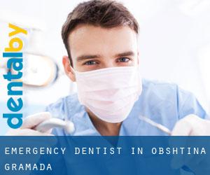 Emergency Dentist in Obshtina Gramada