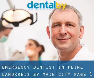 Emergency Dentist in Peine Landkreis by main city - page 1