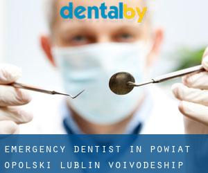 Emergency Dentist in Powiat opolski (Lublin Voivodeship)