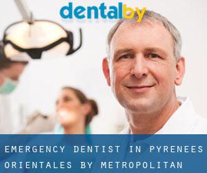 Emergency Dentist in Pyrénées-Orientales by metropolitan area - page 1