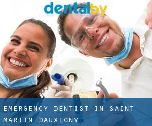 Emergency Dentist in Saint-Martin-d'Auxigny