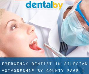 Emergency Dentist in Silesian Voivodeship by County - page 1