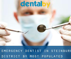 Emergency Dentist in Steinburg District by most populated area - page 2