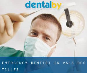 Emergency Dentist in Vals-des-Tilles