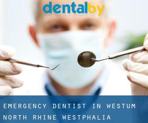 Emergency Dentist in Westum (North Rhine-Westphalia)