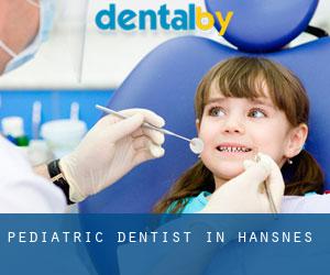 Pediatric Dentist in Hansnes