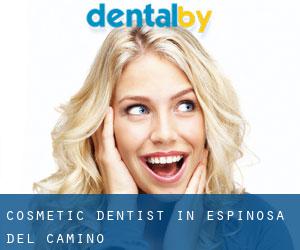 Cosmetic Dentist in Espinosa del Camino