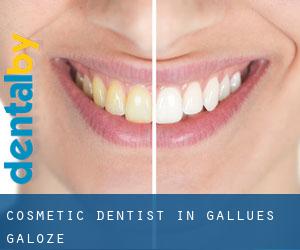 Cosmetic Dentist in Gallués / Galoze