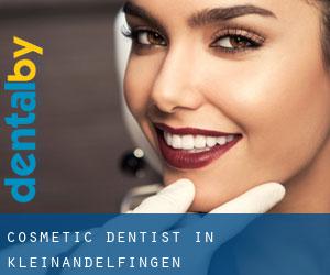 Cosmetic Dentist in Kleinandelfingen