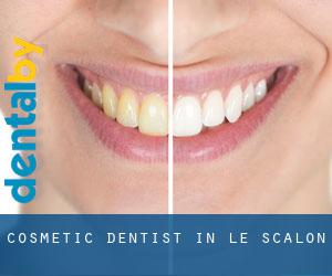 Cosmetic Dentist in Le Scalon