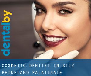 Cosmetic Dentist in Silz (Rhineland-Palatinate)