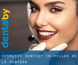 Cosmetic Dentist in Villas de la Ventosa