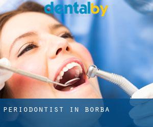 Periodontist in Borba