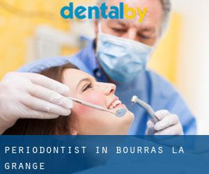 Periodontist in Bourras-la-Grange